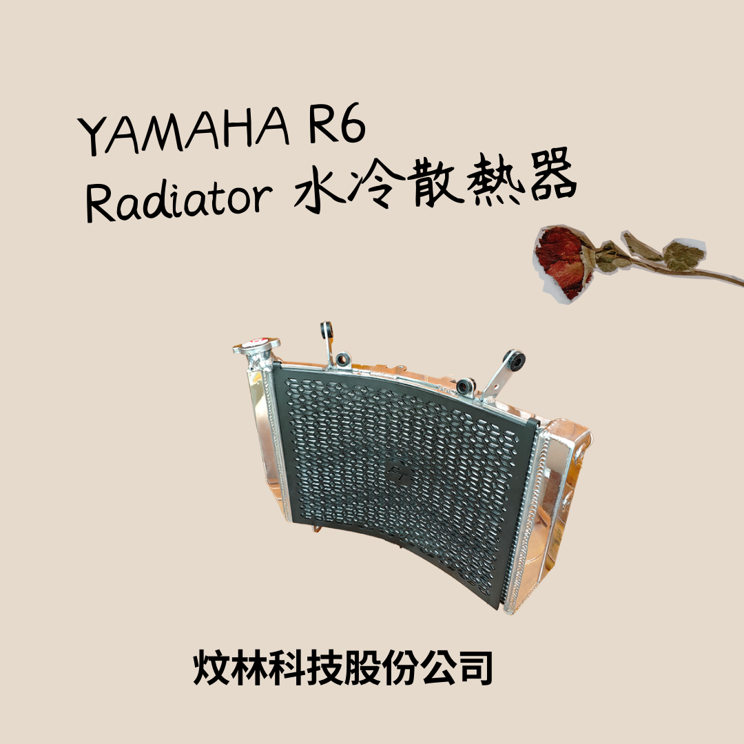 YAMAHA YZF-R6 改裝 全鋁加厚加大水箱 水冷散熱器